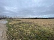 5700 mp Teren intrav. zona Mini Paradis, deschidere 44 ml- 28 eur/mp - 2