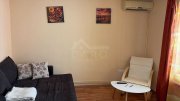 Inchiriez Garsoniera / Apartament 1 camera Dambu - 8