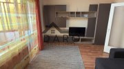 Inchiriez Garsoniera / Apartament 1 camera Dambu