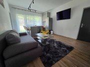 Duplex, 2 camere open space, curte, parcare, Buna Ziua, Leroy Merlyn - 7