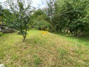 Teren 560mp in Andrei Muresanu cu autorizatie pentru casa! - 6