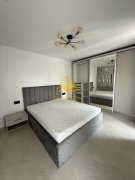 Studio, Premium, Bloc Nou, Marasti Dorobantilor zona Teodor Mihali - 2