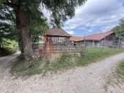 Teren intravilan 3.000 mp cu casă tradițională – Bran, sat Poarta - 3