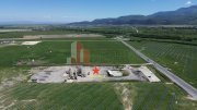 Teren pentru dezvoltare industrială/comercială 23.200 mp Râșnov DN73 - 2