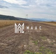 Teren extravilan de vânzare | Daia | 8.000 mp | agricol
