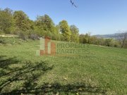 Terenuri Bran - Predelut  Priveliște către Bucegi și Postăvaru - 2