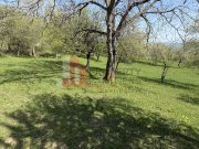 Terenuri Bran - Predelut  Priveliște către Bucegi și Postăvaru - 7