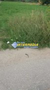 Teren Intravilan de vanzare cu in suprafata de 1600 mp  zona Alba-Micesti