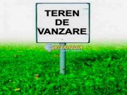 Teren intravilan de vanzare 3557 mp d=20.5 Alba Micesti ideal investitie