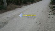 Teren Intravilan 11.150 mp deschidere 38 m. PUZ aprobat P+3 toate utilitatile