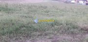 Teren intravilan de vanzare 9000 mp zona Micesti Sard - 2