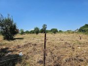 Teren Intravilan 5.000 mp București, Sector 6 (Giulești-Sârbi) - 2