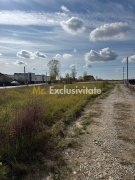 TEREN INTRAVILAN 3 LOTURI | 1.334 MP | BRADU | POTENȚIAL INVESTIȚIONAL - 4