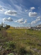 TEREN INTRAVILAN 3 LOTURI | 1.334 MP | BRADU | POTENȚIAL INVESTIȚIONAL - 5
