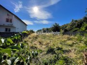 Teren 1220mp intravilan Bascov, AG