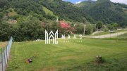 Teren intravilan de vânzare | Râu Sadului | PUZ aprobat