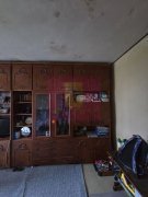 Ap 2 camere Lujerului - 10