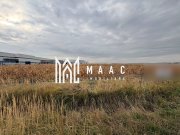 Teren de vanzare I intravilan I 20800 mp I zona vest