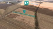 Teren 15.000 mp, Zădăreni, zona Lagermax