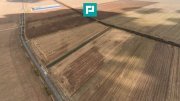 Teren 15.000 mp, Zădăreni, zona Lagermax - 2
