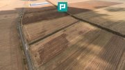 Teren 15.000 mp, Zădăreni, zona Lagermax - 3