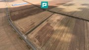Teren 15.000 mp, Zădăreni, zona Lagermax - 4