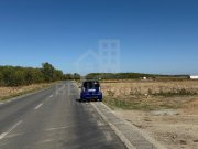 Teren intravilan 990mp Carcea Hanul cu Ponei strada Aeroportului - 2