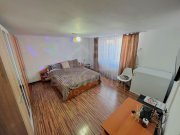 Casa mobilata utilata Brestei Promenada renovata 184mp teren - 3
