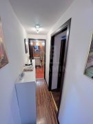Casa mobilata utilata Brestei Promenada renovata 184mp teren - 8