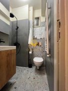 2 camere, gradina, modern, Zona Centrala, BOSCH, NTT Data,Scala Center - 5