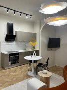 2 camere, gradina, modern, Zona Centrala, BOSCH, NTT Data,Scala Center - 6