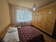 Inchiriez ap 3 camere ,pet frendly,Bartok Bella,Grigorescu - 6