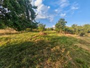 Teren intravilan 1.600 mp Mioveni – Zona Pruni - 11