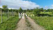 Teren intravilan de vânzare Daia Nouă | 1000 mp | Ideal pentru construcție