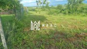 Teren intravilan de vânzare Daia Nouă | 1000 mp | Ideal pentru construcție - 4