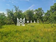 Teren | 2.547mp Intravilan/ 10.375mp Extravilan | Loamneș