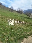 Casa veche I Bistra I Alba  1850 mp teren - 10