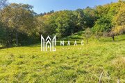 Teren | Intravilan | 2439 MPU | Fântânele - 7