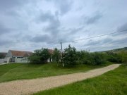 De vânzare | Casă tradițională pe deal + teren 2.470 mp | Sat Burzuc | - 4