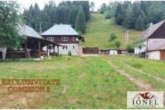 Casa in Muntii Apuseni - Horea