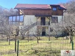 Casa D+P+M de vanzare in Metes - 2