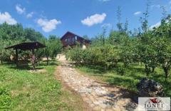 Casa D+P+M de vanzare in Metes - 2