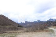 Teren Sebesul de Sus I 1100 mp I facilitati in apropiere - 3