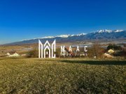Teren cu potențial turistic I Bradu I Vedere Panoramică I 2000 MP