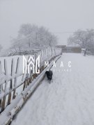 Casa I 60000 mp pamant I  Cugir I Alba - 4