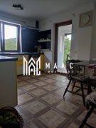 Casa de vanzare Budesti | Golesti| 380mp - 5