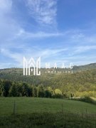 Teren  Intravilan I case vechi I – Poiana Sohodol I Alba - 7