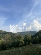Teren  Intravilan I case vechi I – Poiana Sohodol I Alba - 10