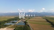 Parcele Teren I 500mp I Extravilan I Panorama Transfăgărășan