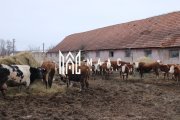 Fermă agricolă funcțională | Vurpar | 1.200 mp construiți | Utilaje disponibile - 2